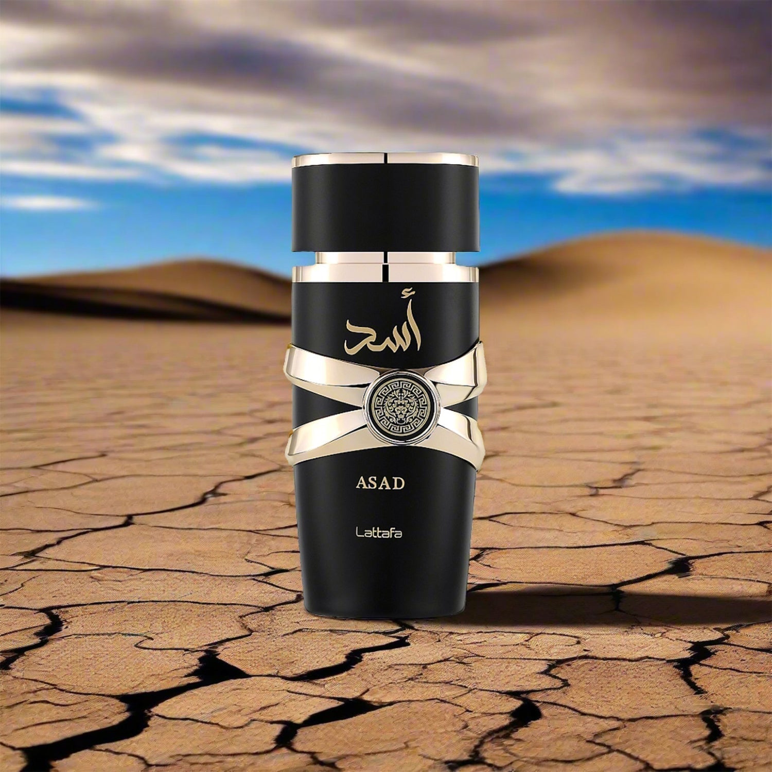Men's Perfumes